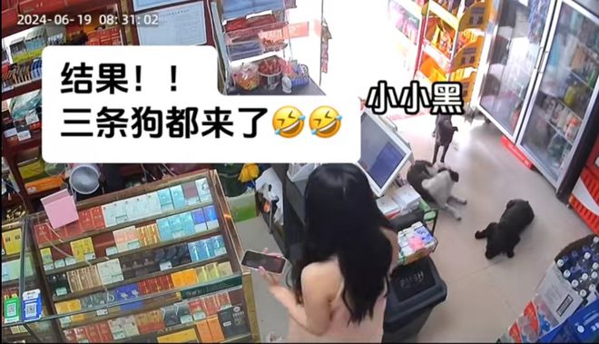 M6米乐APP，小狗带着朋友去蹭空调时小